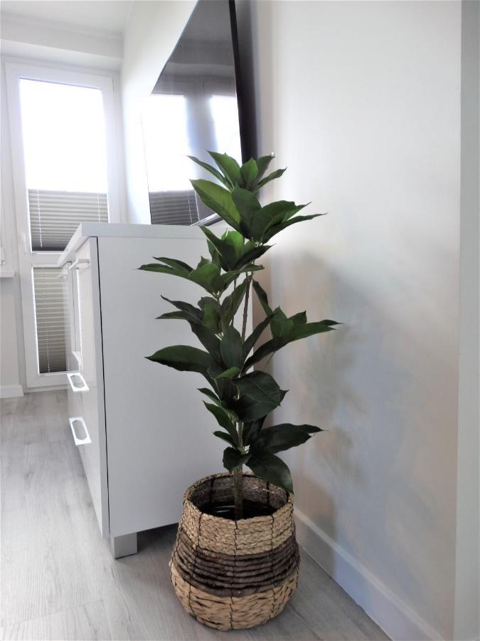 Apartament Centrum Świnoujście Esterno foto